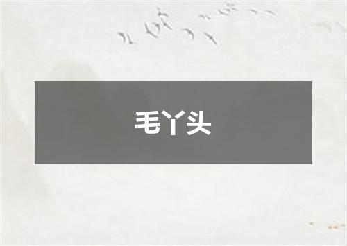 毛丫头