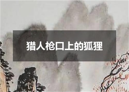 猎人枪口上的狐狸