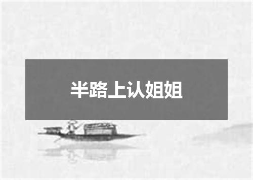 半路上认姐姐