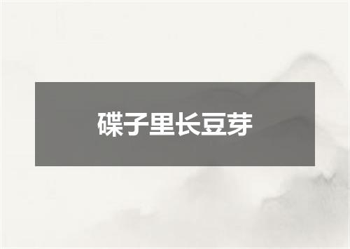 碟子里长豆芽