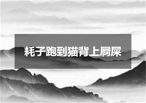 耗子跑到猫背上屙屎