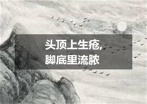 头顶上生疮,脚底里流脓