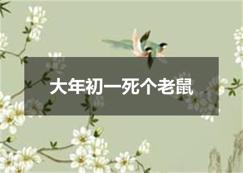 大年初一死个老鼠