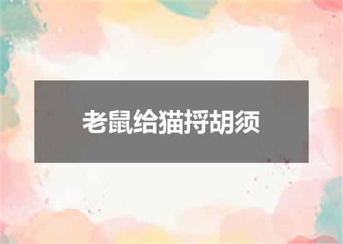 老鼠给猫捋胡须