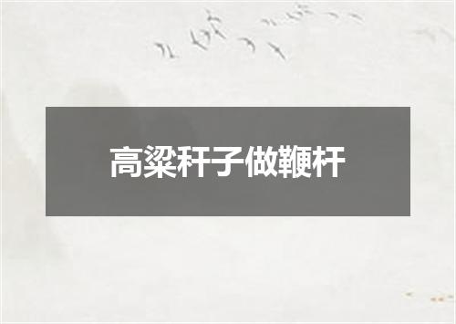 高粱秆子做鞭杆