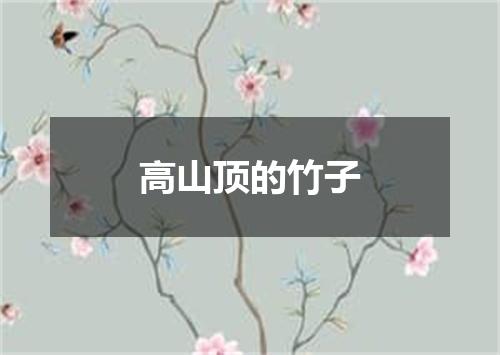 高山顶的竹子