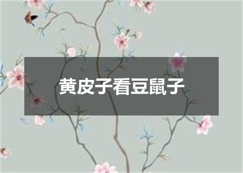 黄皮子看豆鼠子
