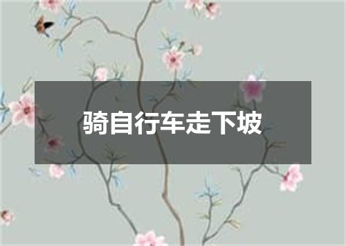 骑自行车走下坡