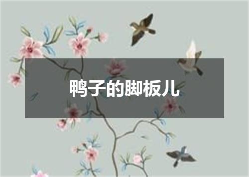 鸭子的脚板儿