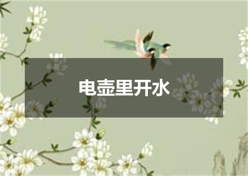 电壶里开水