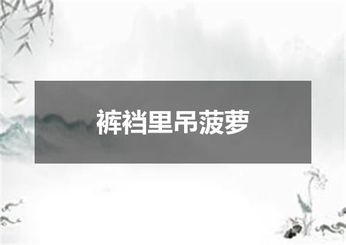 裤裆里吊菠萝