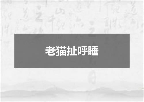 老猫扯呼睡