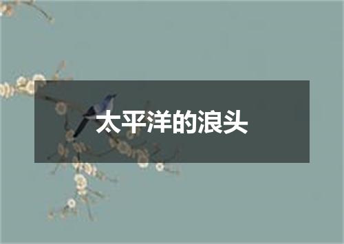 太平洋的浪头