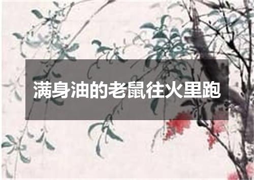 满身油的老鼠往火里跑