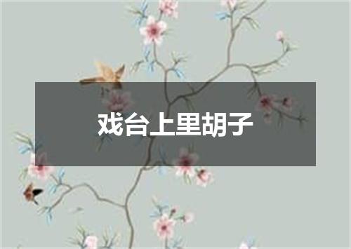 戏台上里胡子