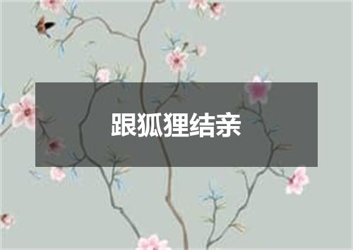 跟狐狸结亲