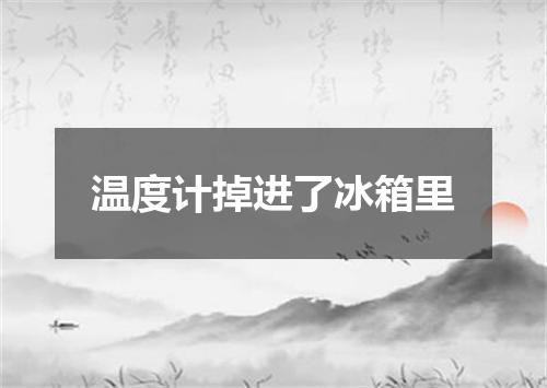 温度计掉进了冰箱里