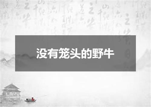 没有笼头的野牛