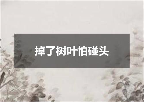 掉了树叶怕碰头