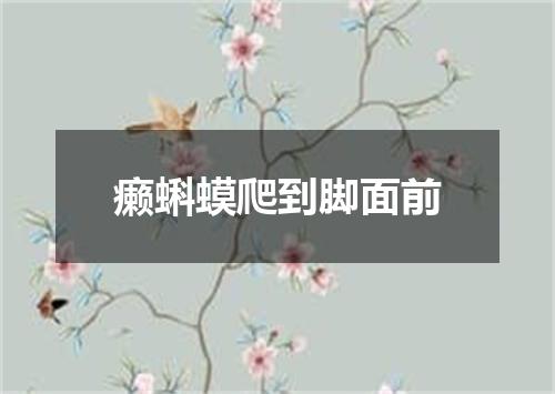 癞蝌蟆爬到脚面前