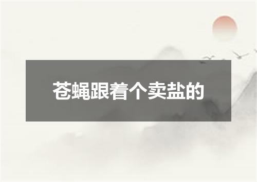 苍蝇跟着个卖盐的