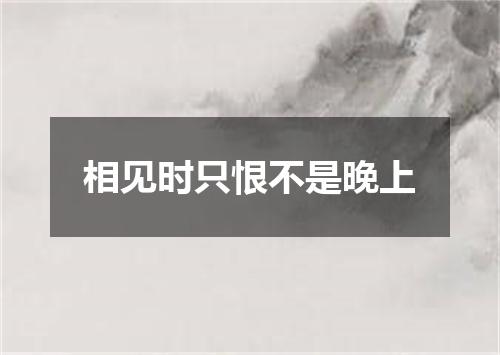 相见时只恨不是晚上