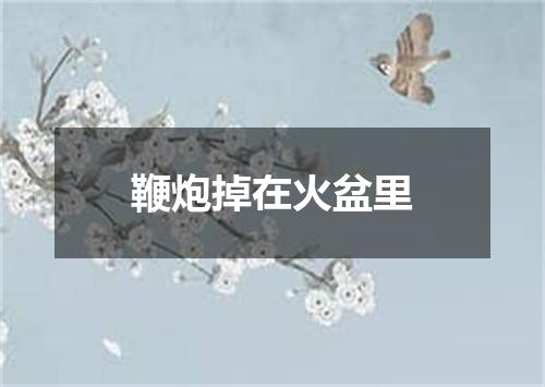 鞭炮掉在火盆里