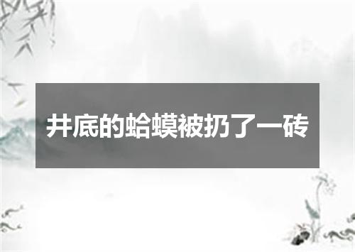 井底的蛤蟆被扔了一砖