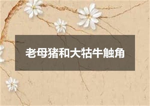 老母猪和大牯牛触角