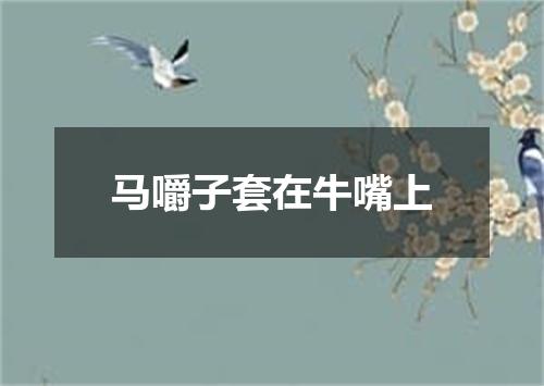 马嚼子套在牛嘴上