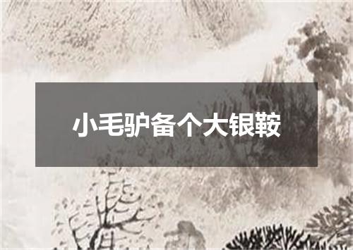 小毛驴备个大银鞍