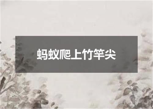 蚂蚁爬上竹竿尖