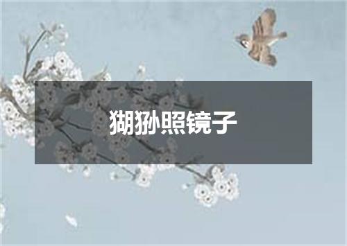 猢狲照镜子