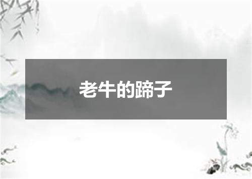老牛的蹄子