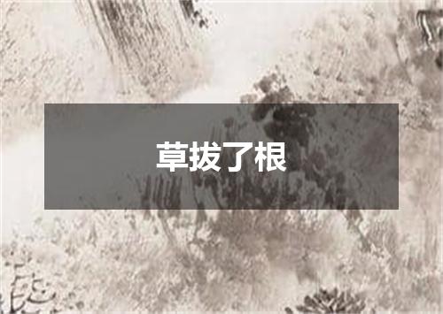 草拔了根