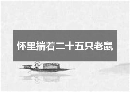 怀里揣着二十五只老鼠