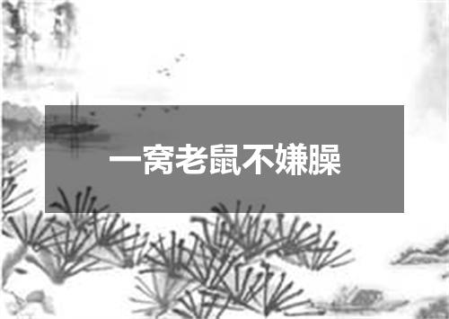 一窝老鼠不嫌臊