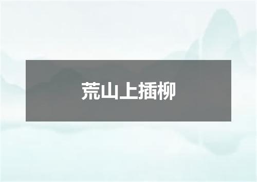 荒山上插柳