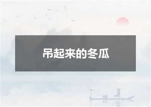 吊起来的冬瓜