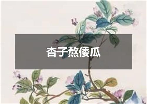 杏子熬倭瓜