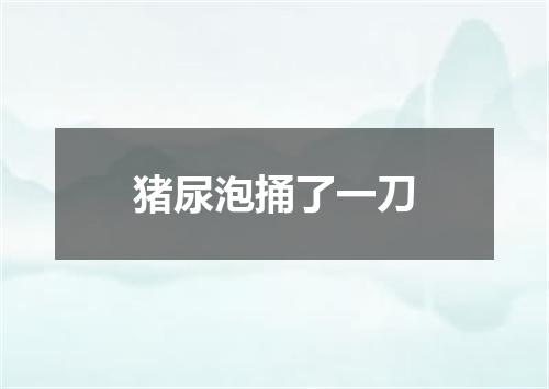 猪尿泡捅了一刀