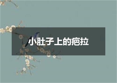 小肚子上的疤拉