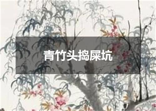 青竹头捣屎坑