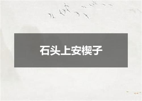 石头上安楔子