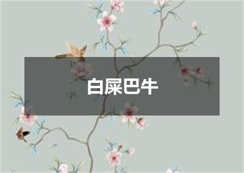 白屎巴牛