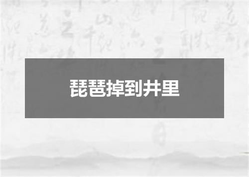 琵琶掉到井里