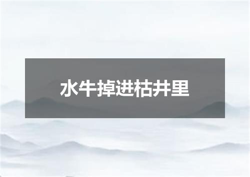 水牛掉进枯井里