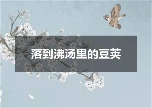 落到沸汤里的豆荚