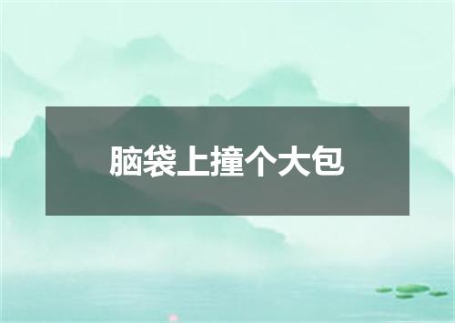 脑袋上撞个大包