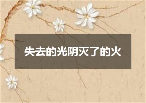 失去的光阴灭了的火